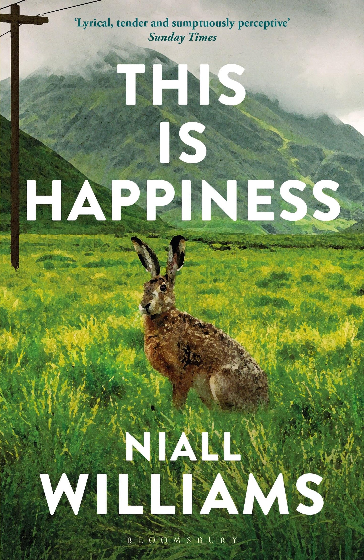 Libro: This Is Happiness: By the author of Four Letters of Love, now a major film starring Helena Bonham Carter and Pierce Brosnan