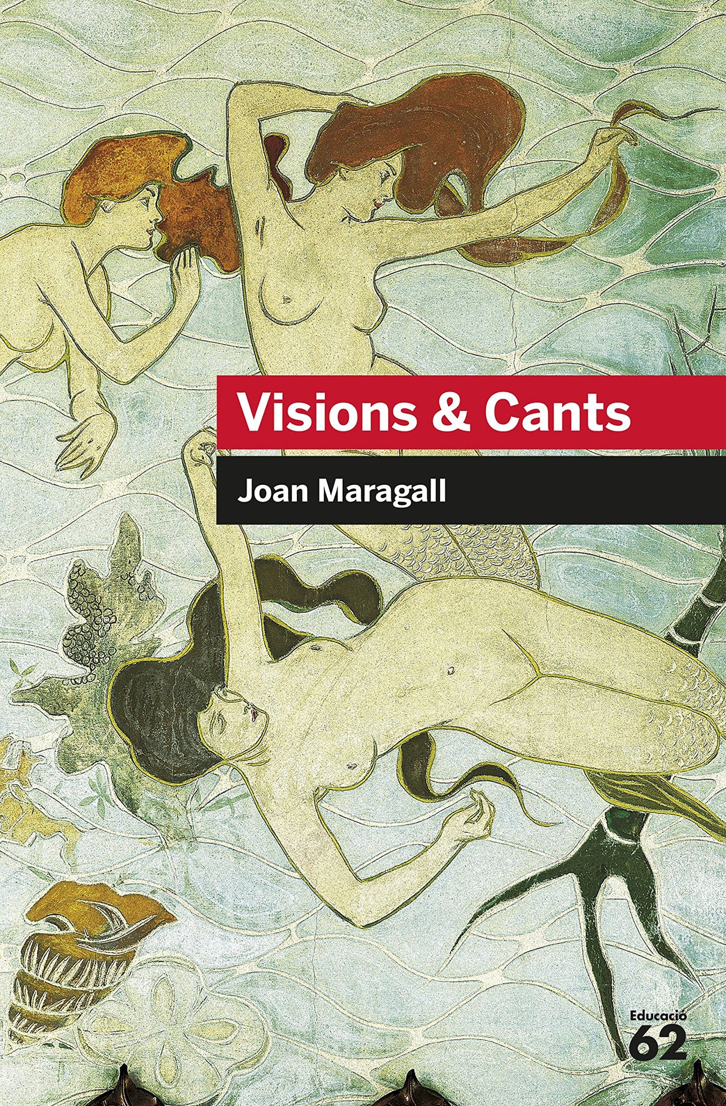 Libro: Visions & Cants
