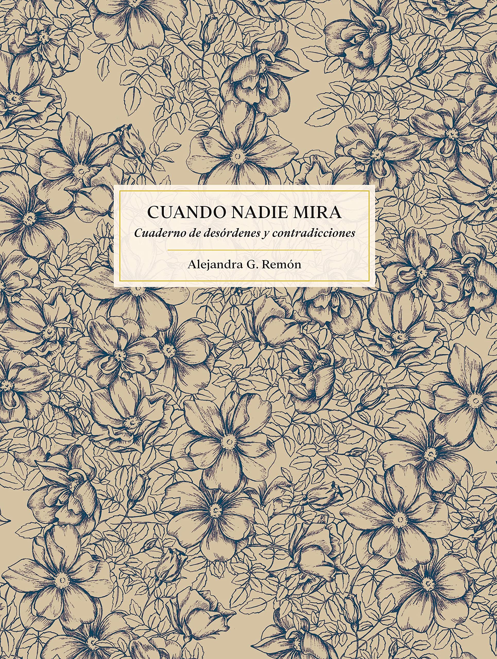 Libro: Cuando nadie mira: Cuaderno de desórdenes y contradicciones (Literatura ilustrada)