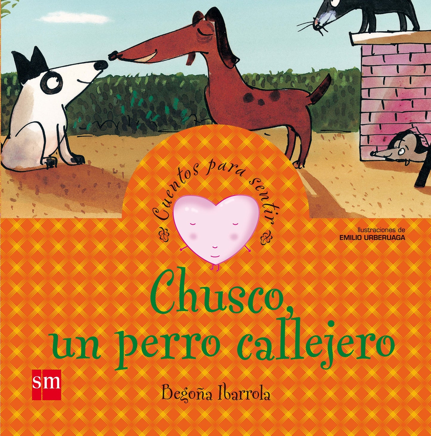 Chusco, un perro callejero: un cuento sobre la solidaridad (Cuentos para sentir)