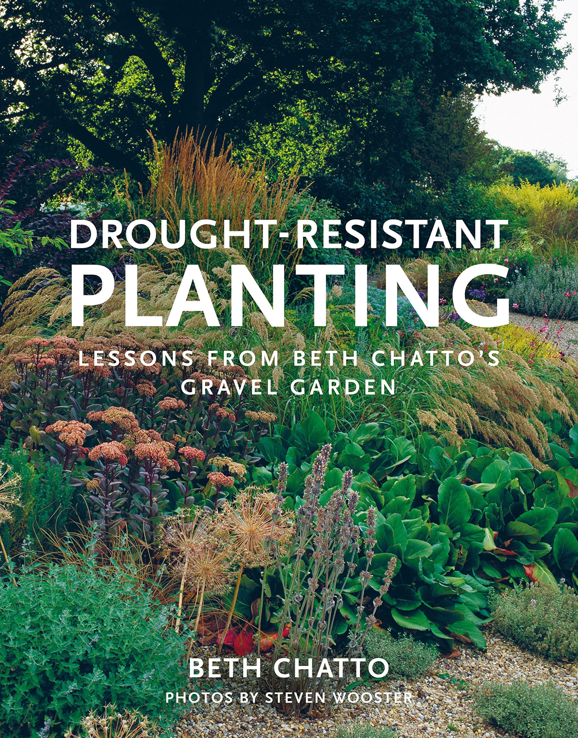 Libro: Drought-Resistant Planting: Lessons from Beth Chatto's Gravel Garden