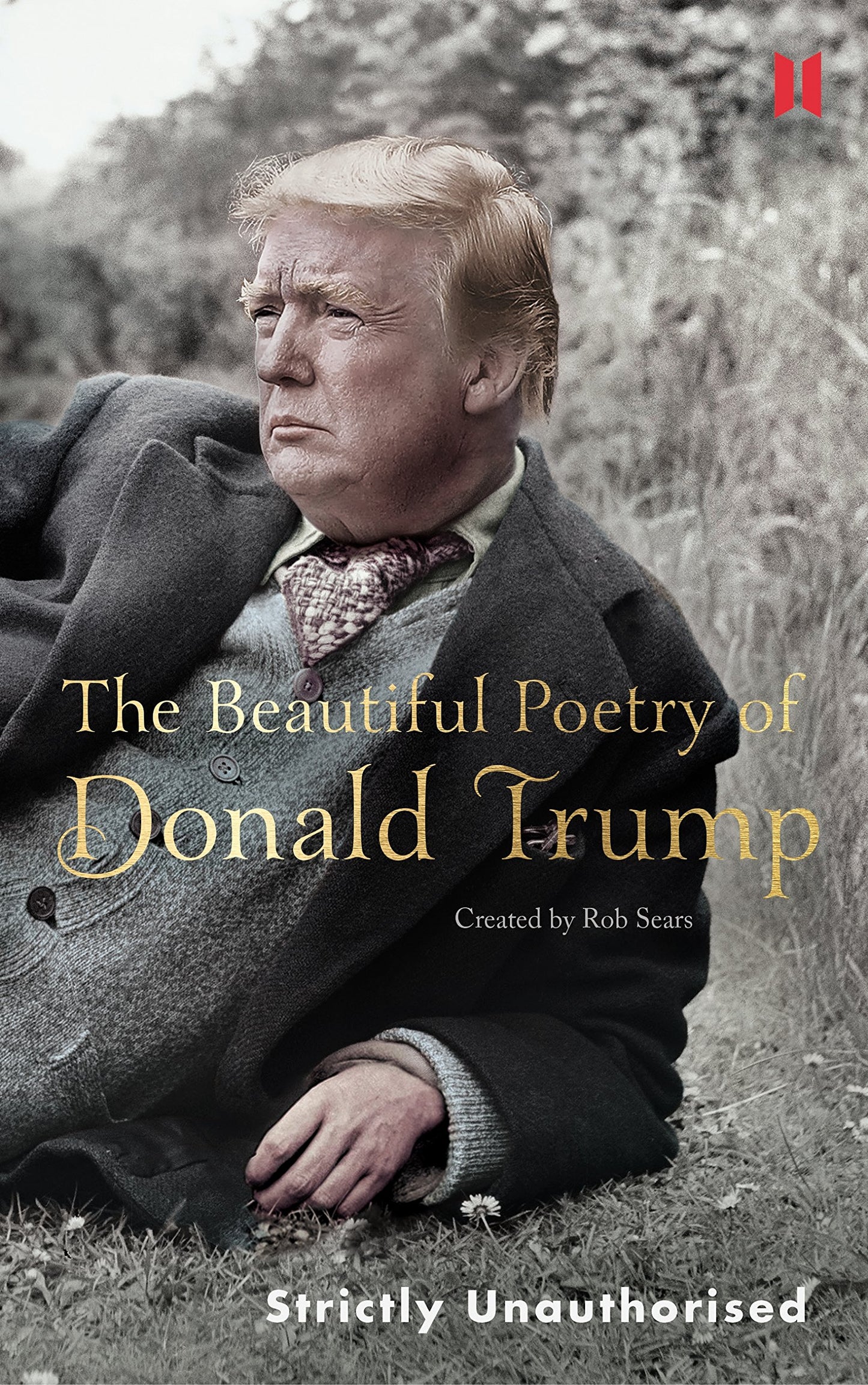 Libro: The Beautiful Poetry of Donald Trump (Canons, 8)