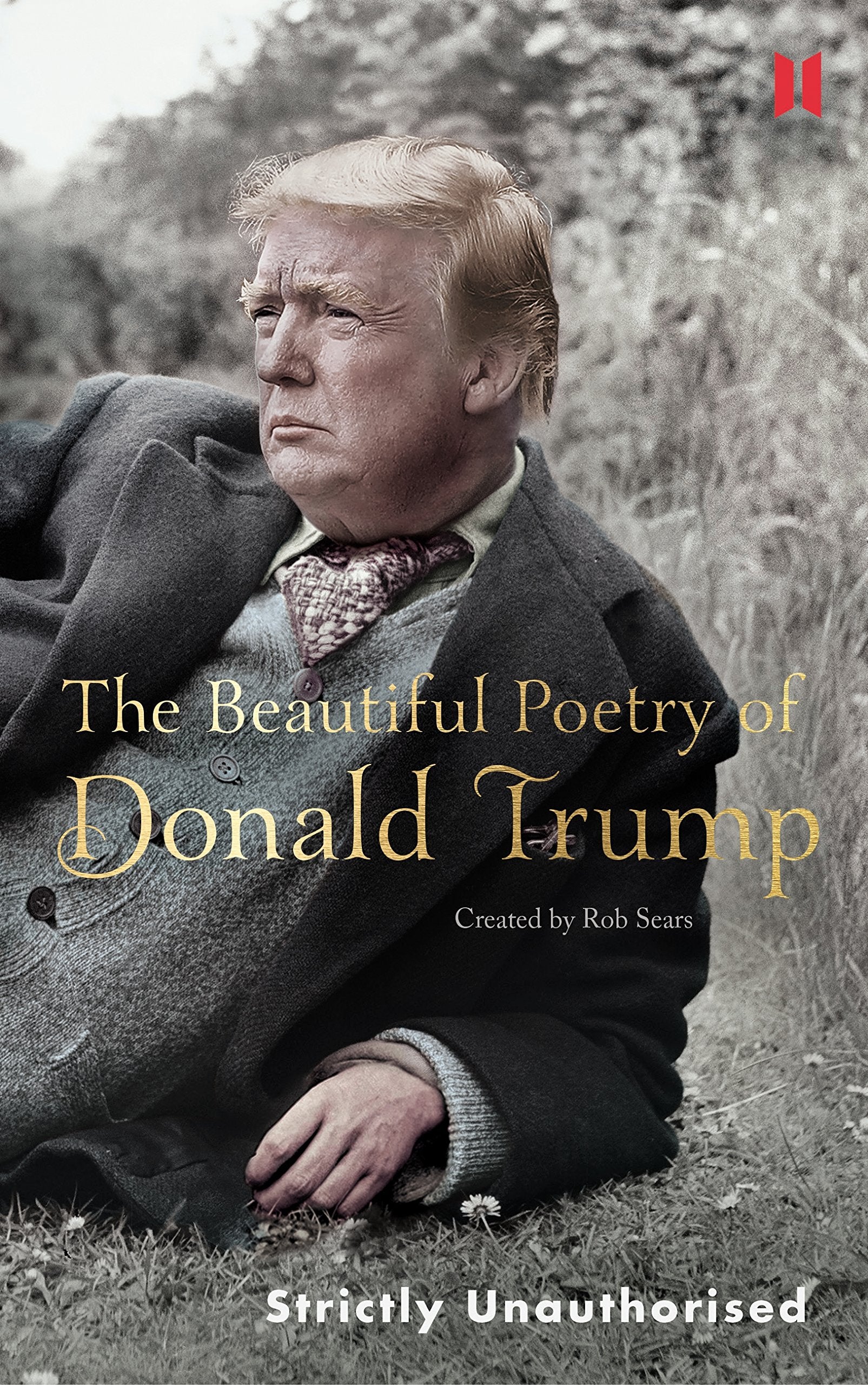 Libro: The Beautiful Poetry of Donald Trump (Canons, 8)