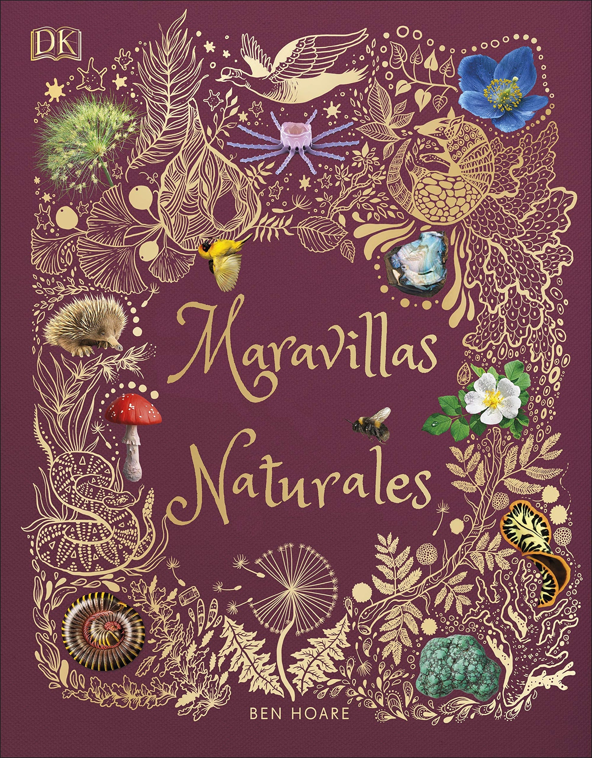 Libro: Maravillas naturales (DK Infantil)