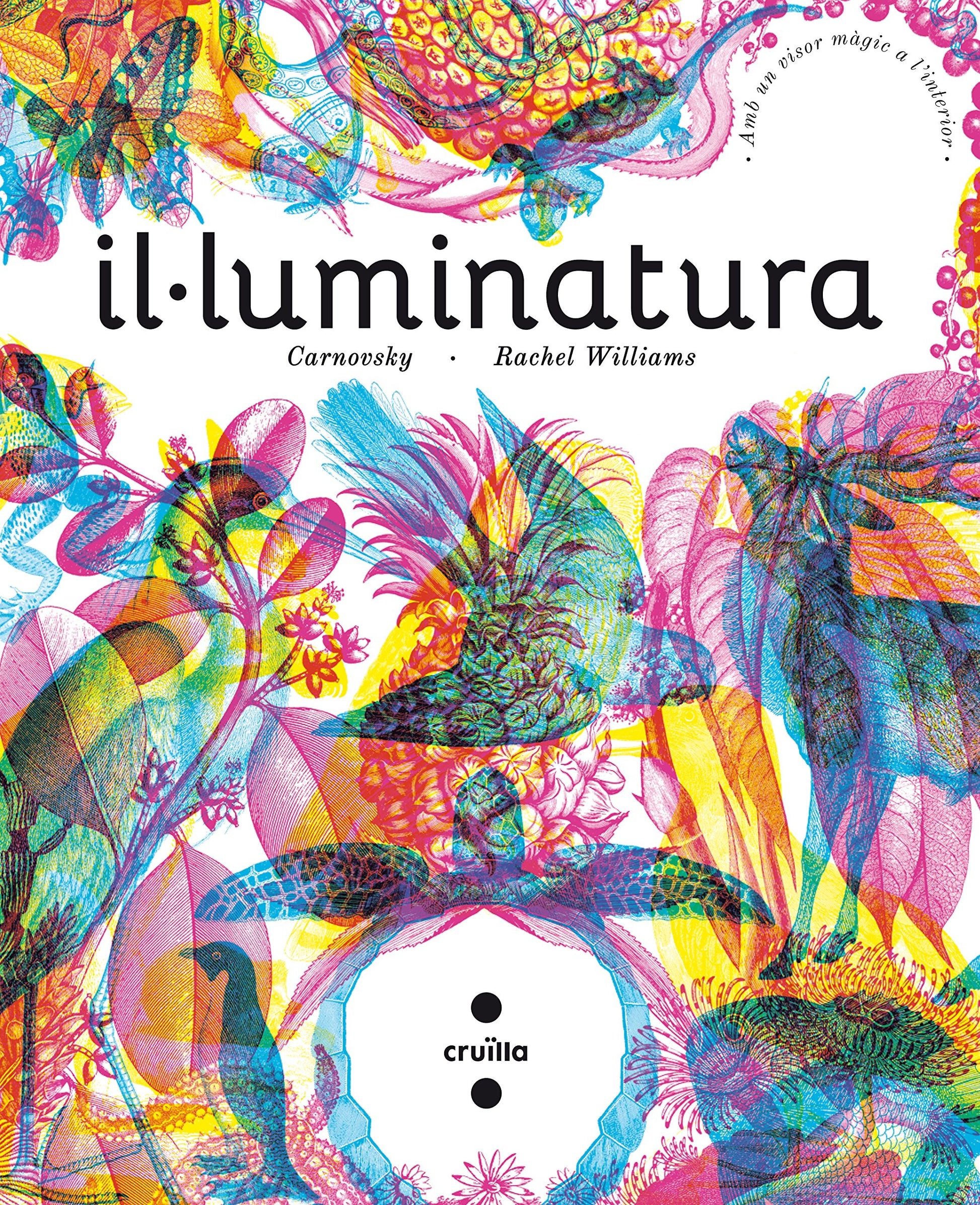 Libro: Il·luminatura (Il·lumina)