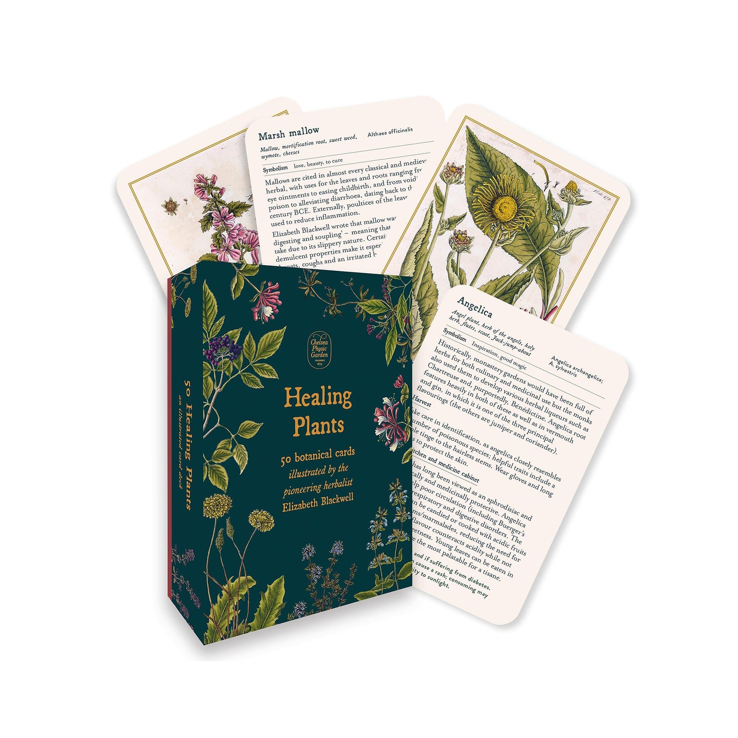 Libro: Healing Plants: 50 botanical cards illustrated by the pioneering herbalist Elizabeth Blackwell