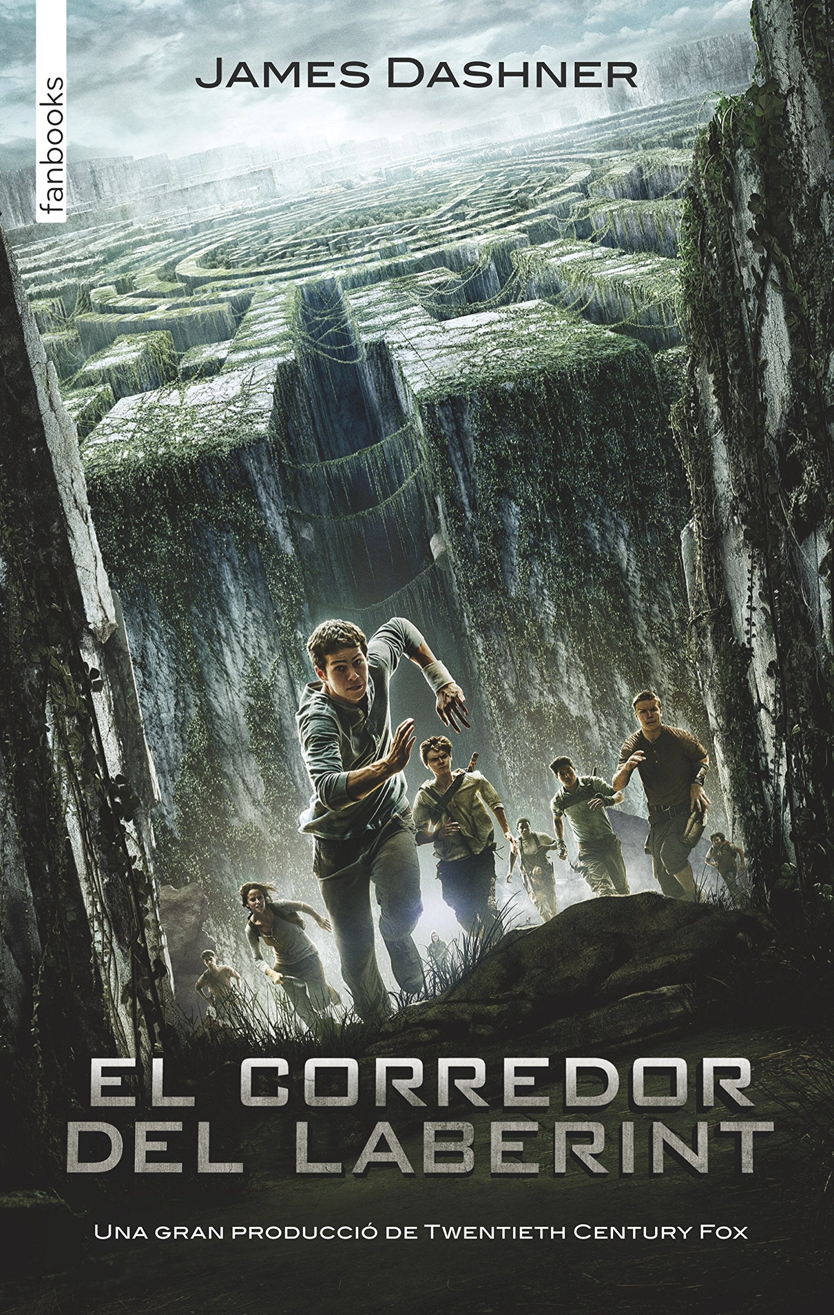 Libro: El corredor del laberint