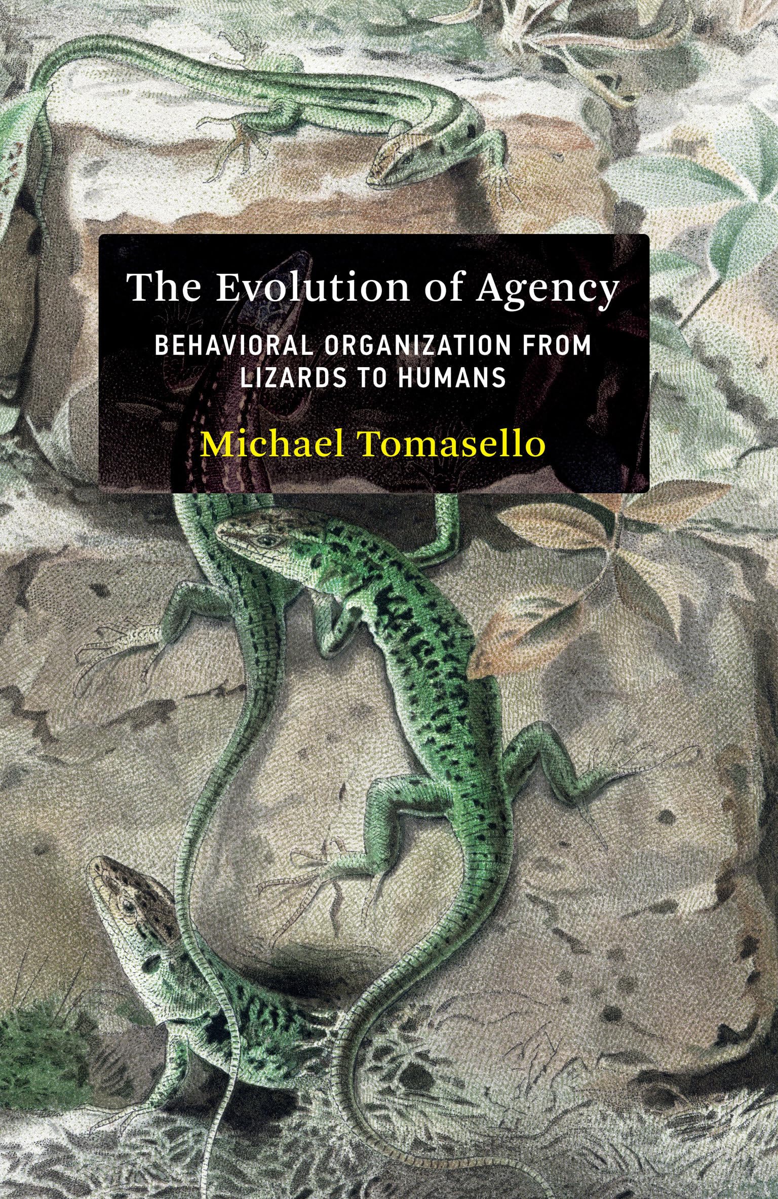 Libro: The Evolution of Agency: Behavioral Organization from Lizards to Humans