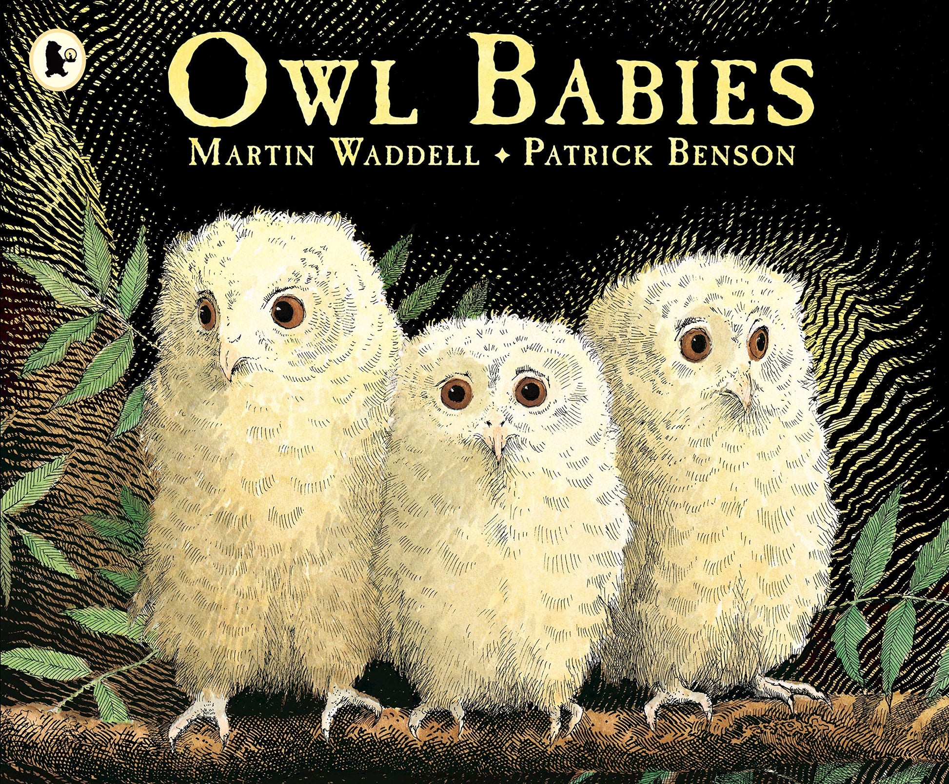 Libro: Owl babies
